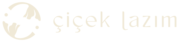 ÇİÇEK LAZIM
