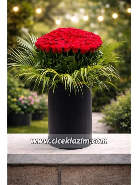 Maxi Boy Kutuda Gül