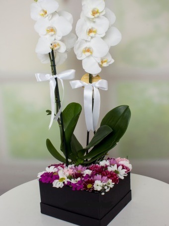 Kare Kutuda Beyaz Orkide Aranjman