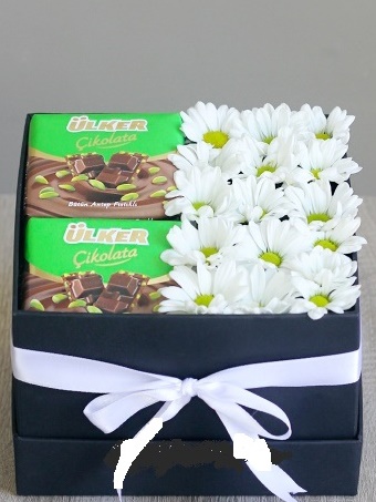 Kutuda Papatya Ve Çikolata